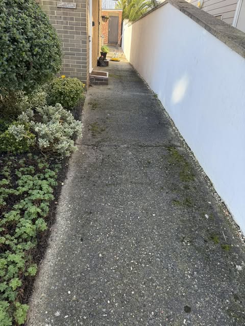 Side alleyway before cleaning, with moss-covered path