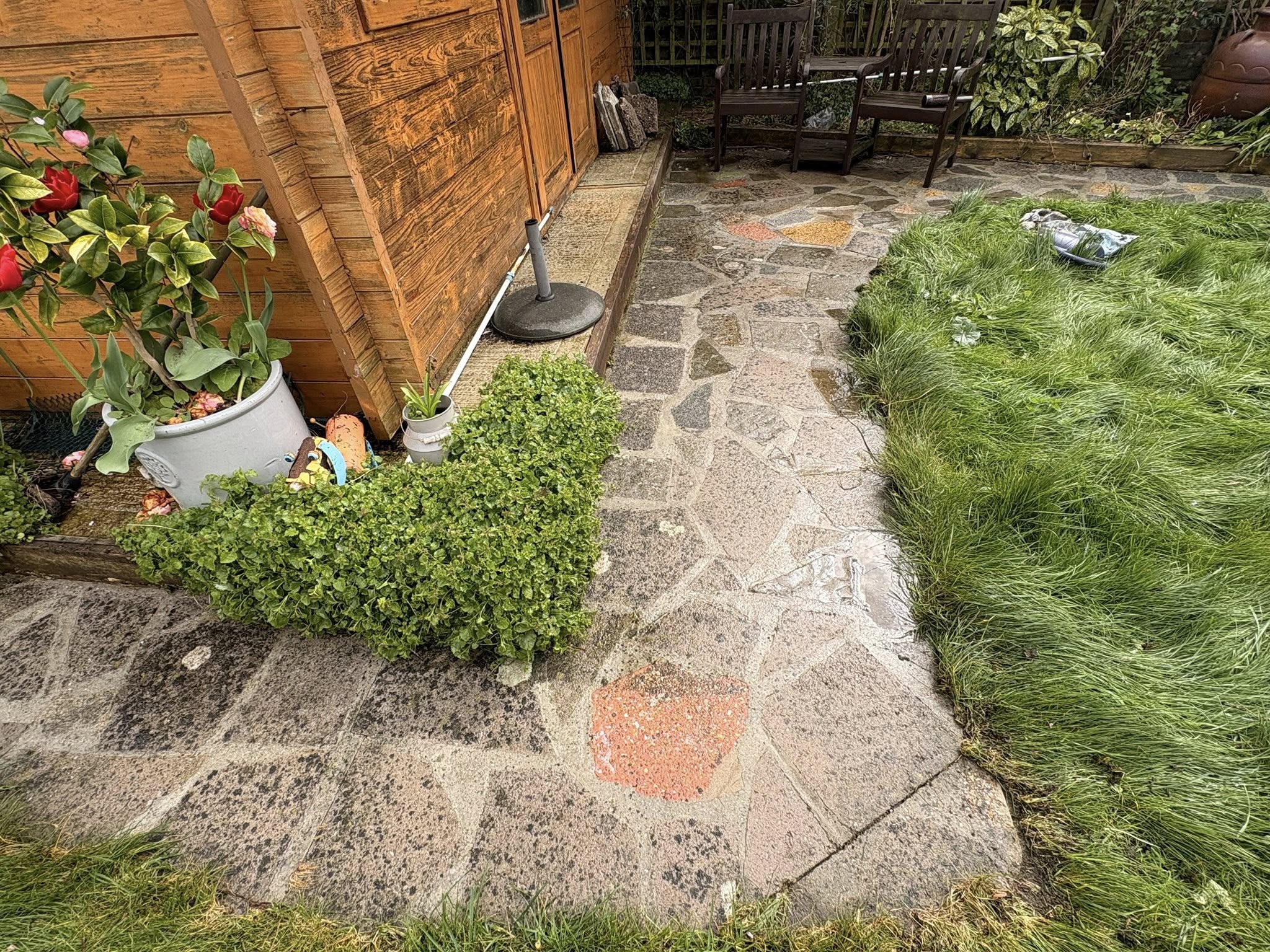 Garden patio with stone pathway, plants and seating area