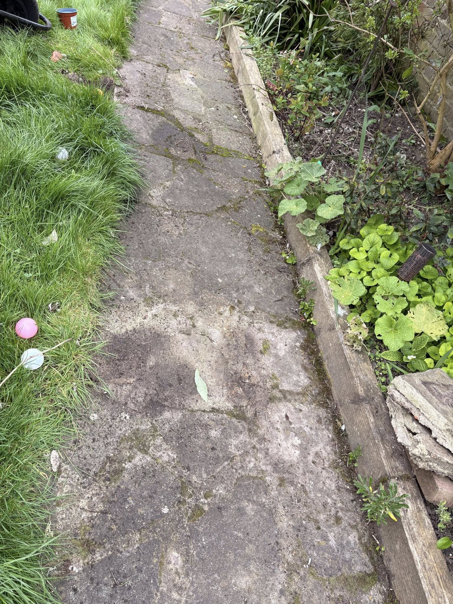 Garden pathway before cleaning, with overgrown weeds