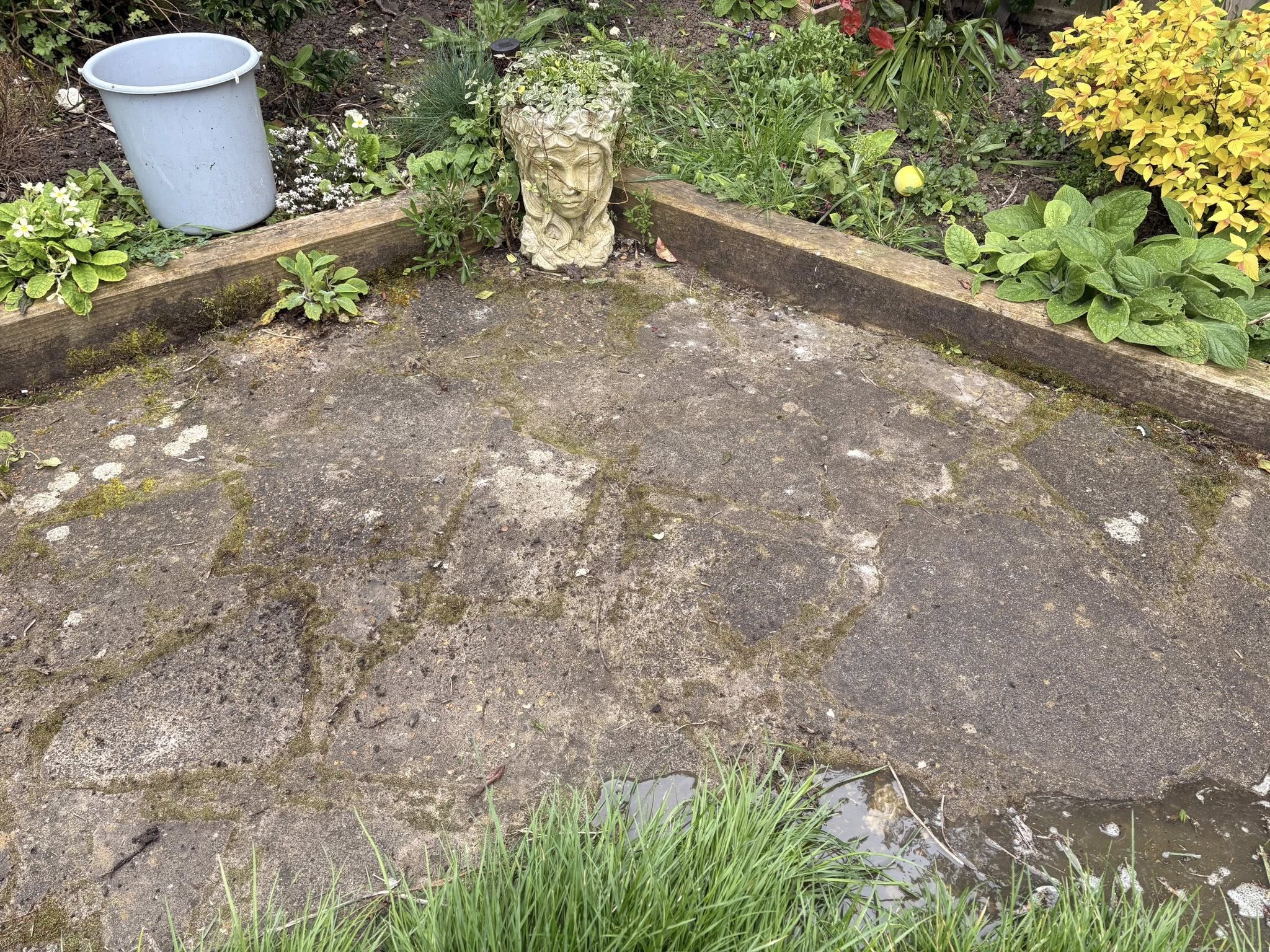 Moss-covered patio before cleaning, with decorative statue