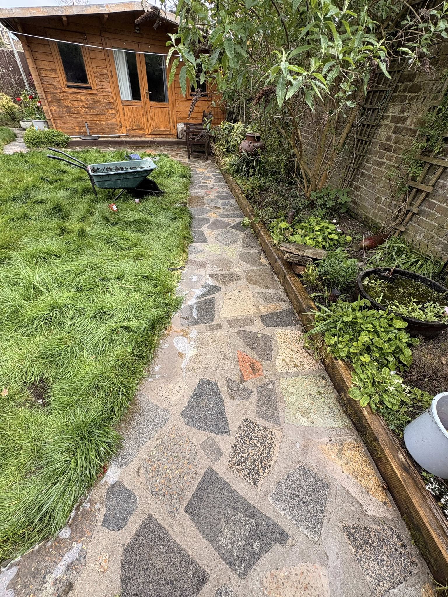 Narrow garden pathway before cleaning