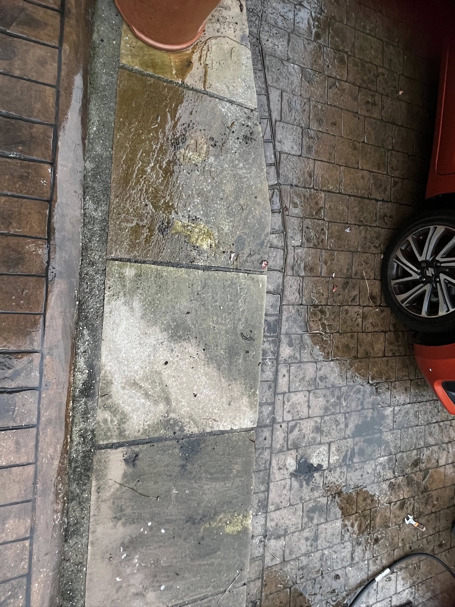 Driveway paving before cleaning, with moss and algae buildup